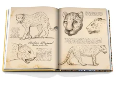 Arabian Leopard Book