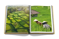 Bali Mystique