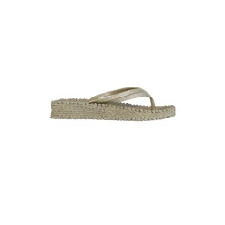 Cheerful Platform Flip Flop Platinum