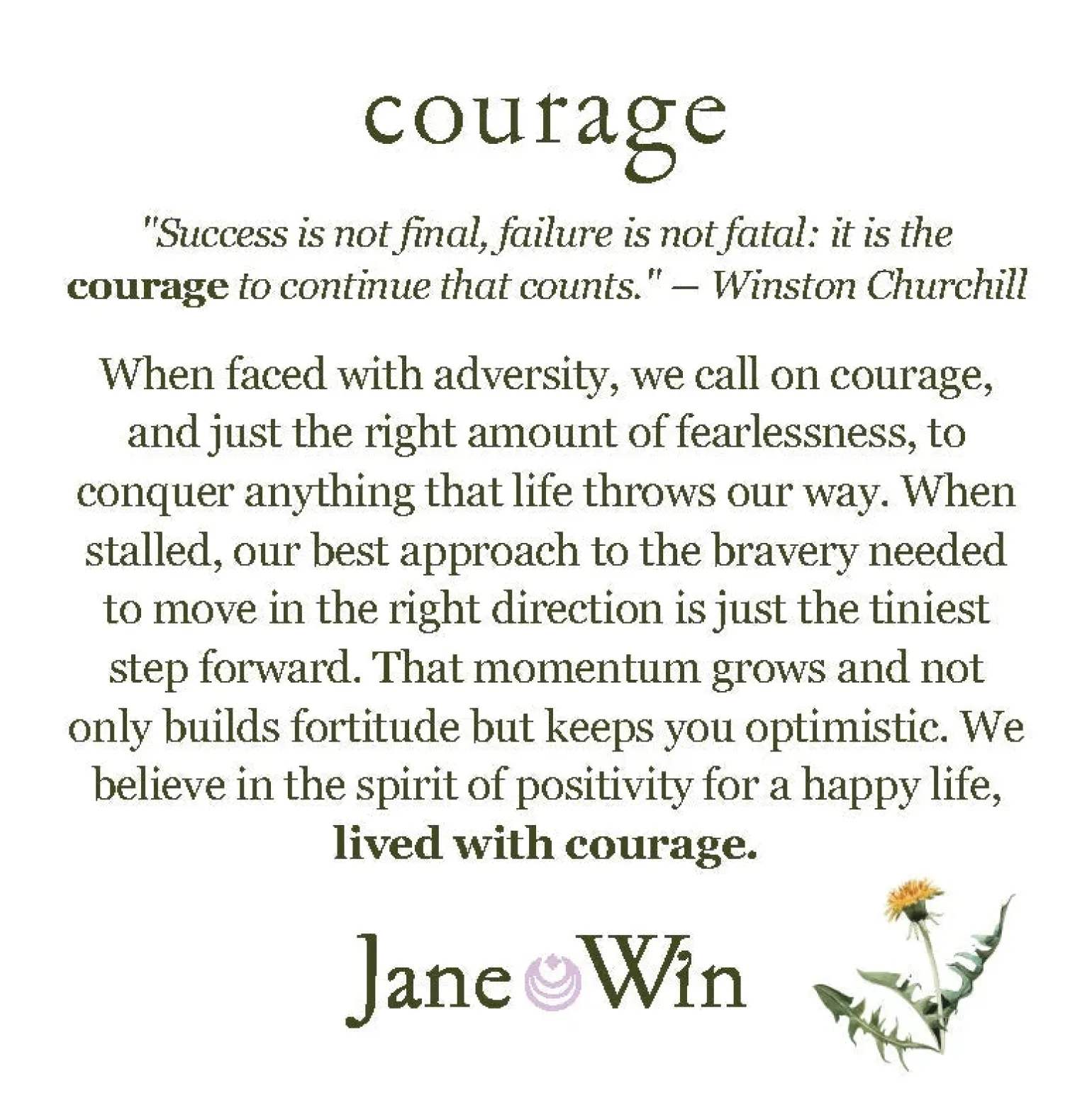 Courage Original Pendant Coin 16-18