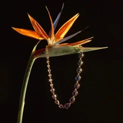 Faris Necklace Multi