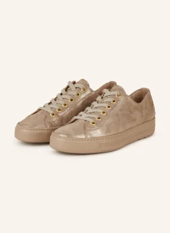 Hadley Sneaker Champagne Glossy Antic