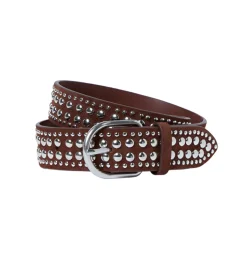 Isaac Studded Belt Espresso/Silver