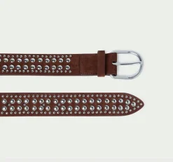 Isaac Studded Belt Espresso/Silver