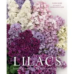 Lilacs