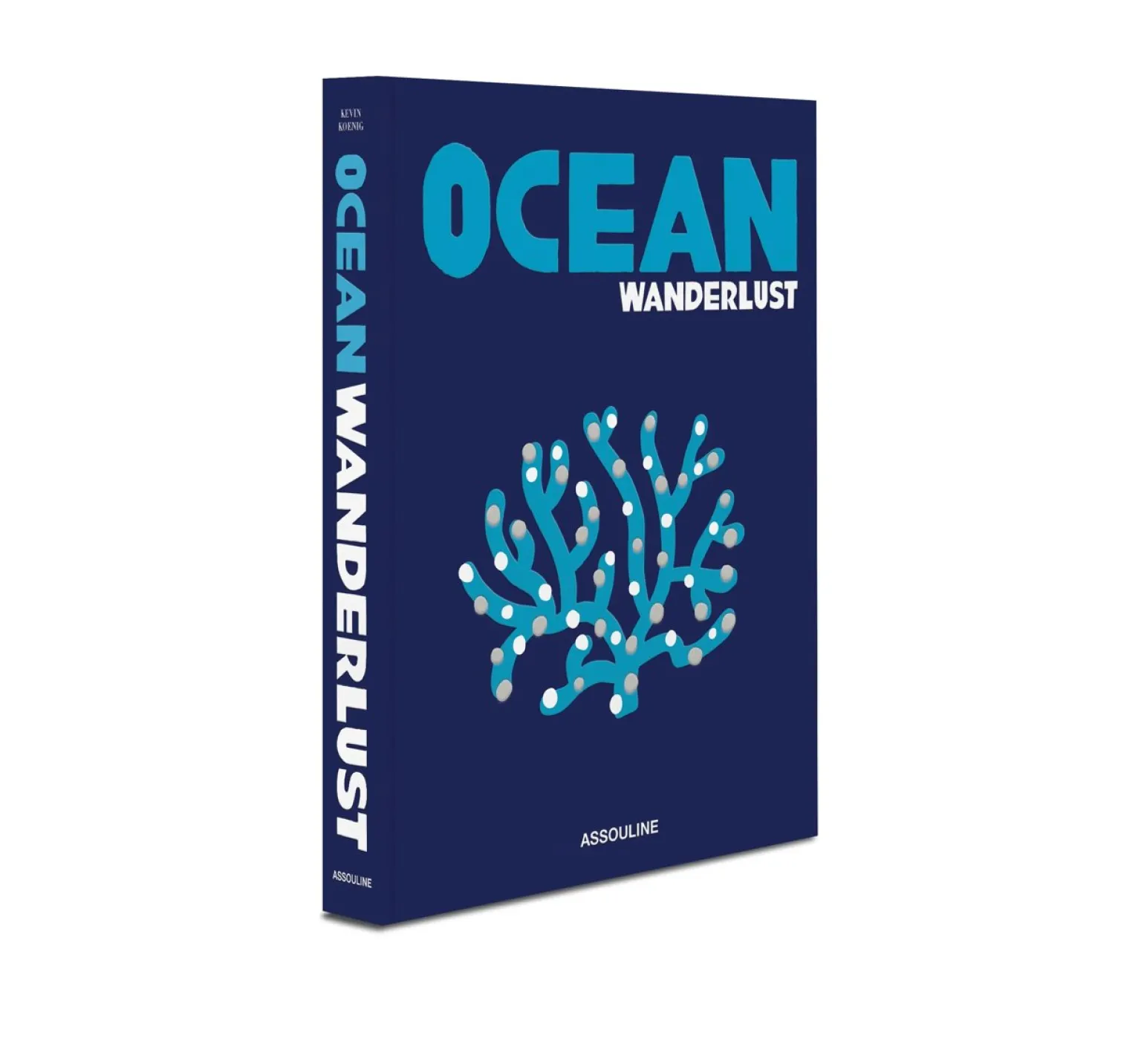 Ocean Wanderlust