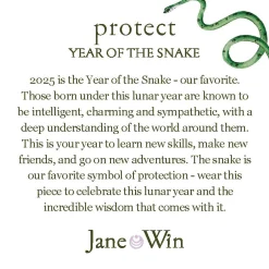 Protect Year Of The Snake 16-18